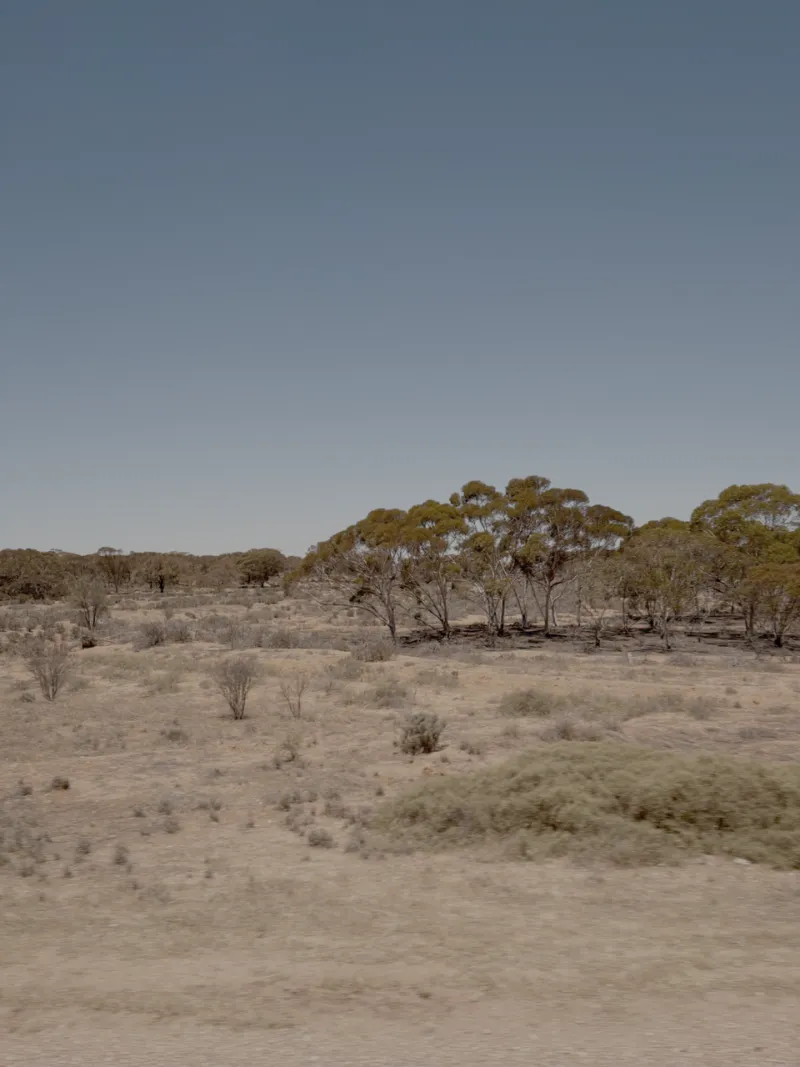 Beyond the Big Smoke: How Regional Aussies Are Quietly Dominating Online Gaming