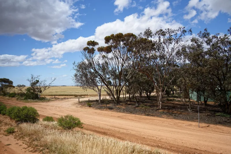 Sitting Out Is a Strategy: What Yabby Season Teaches Aussie Players About Knowing When to Hold Back